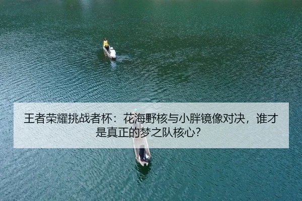 王者荣耀挑战者杯：花海野核与小胖镜像对决，谁才是真正的梦之队核心？